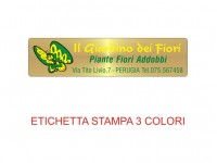 Etichette adesive per fioristi, fiorai e vivaisti (mm 50x12)  (cod.66G)